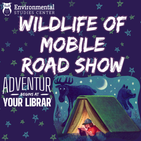 Special Performer: Mobile Environmental Studies Center’s Wildlife of Mobile Road Show