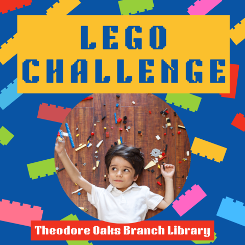 THEODORE LEGO Challenge